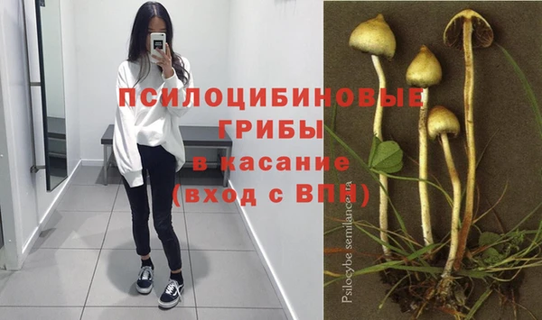 соль ск Нязепетровск