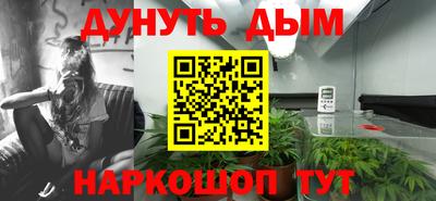 трава Бийск