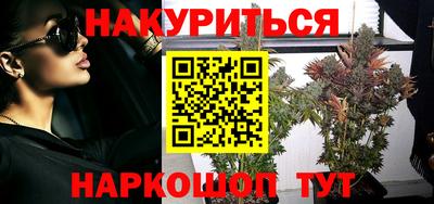 трава Бийск