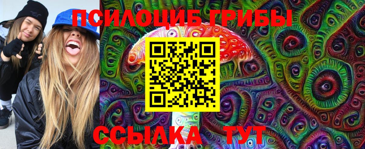 Псилоцибиновые грибы мухоморы  Псилоцибиновые грибы MAGIC MUSHROOMS  Вход с VPN  Североморск 