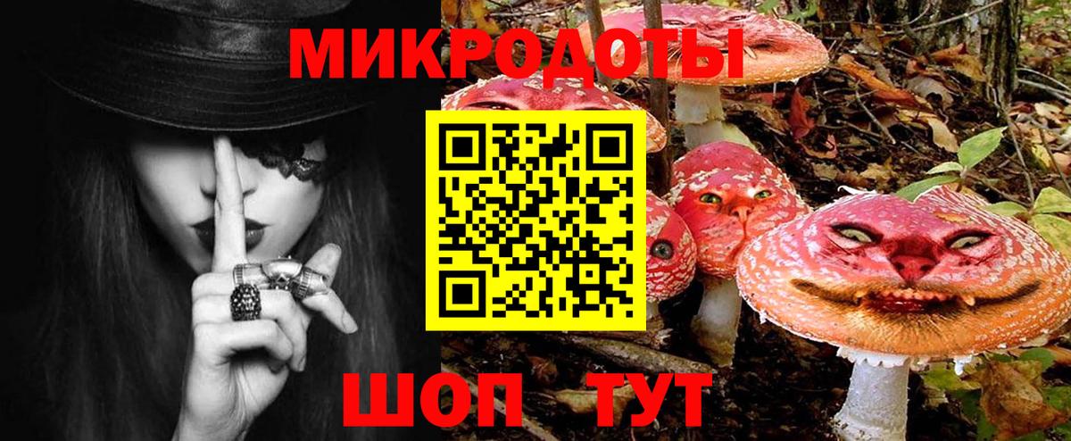 Галлюциногенные грибы MAGIC MUSHROOMS  Галлюциногенные грибы Psilocybe  Североморск 