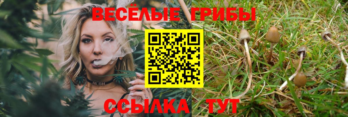 Бошки Шишки  Вейп ТГК  КОКАИН  Североморск  Вход с VPN  ГАШ  МЕТ  МЕФ  